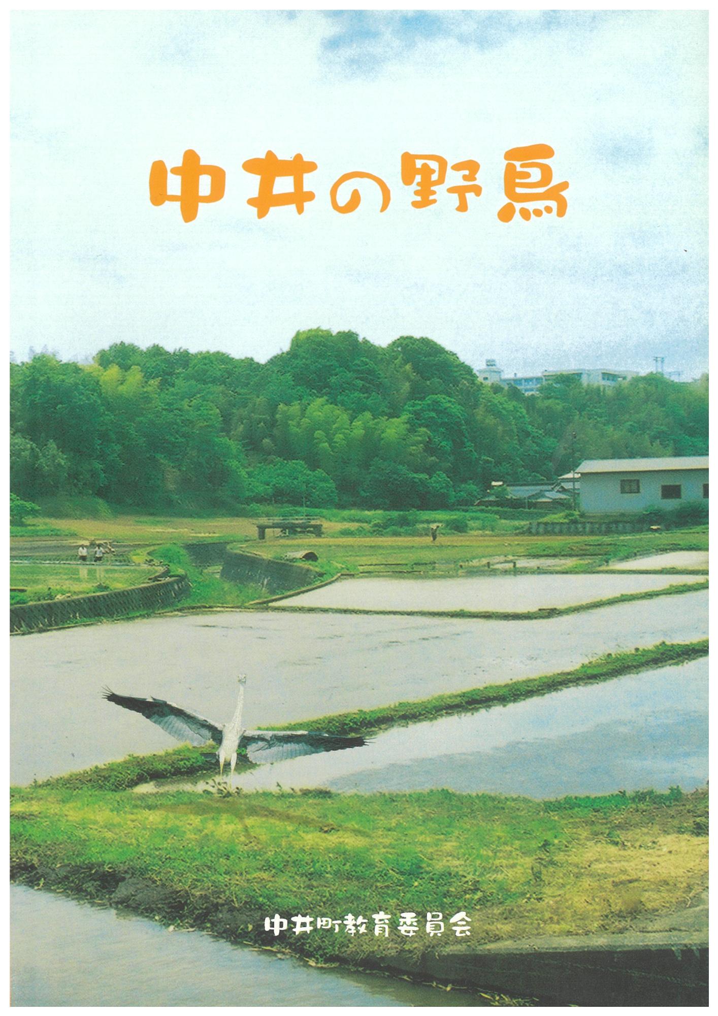 中井の野鳥