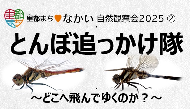 自然観察会のテーマ画像