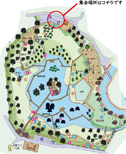 自然観察会の会場地図