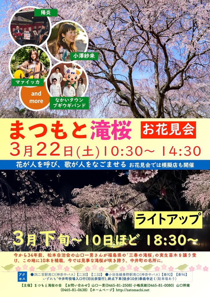 まつもと滝桜お花見会のチラシ