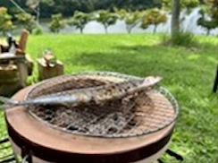 七輪を使用してサンマを焼いている写真