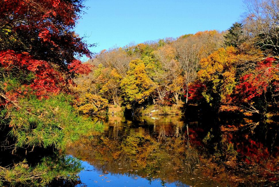秋の震生湖 湖面に紅葉が映る写真