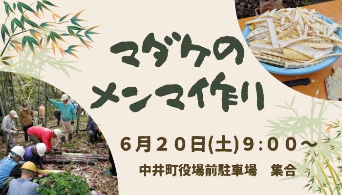 マダケのメンマ作りの案内画像