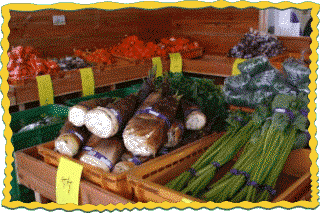 竹の子やふき、ニンジンなどの色々な種類の野菜がかごに入って並んでいる直売所の店内写真