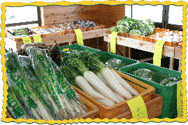 大根やネギ、レタスなどの沢山の野菜が種類別にかごに入って並んでいる直売所の店内写真