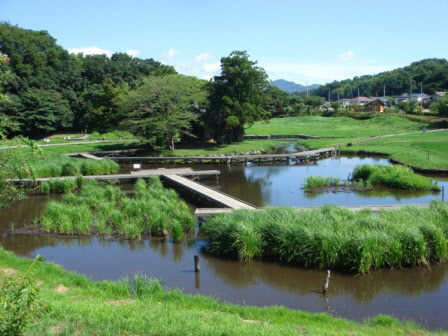 厳島湿生公園の全景写真