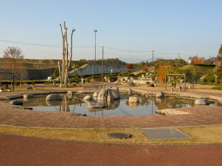 正面に池のある水辺の広場の写真