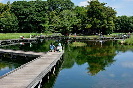 湖に橋がかけられ、木々が水面に反射している写真