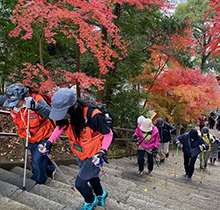 紅葉広がる山の階段を登る団体の写真