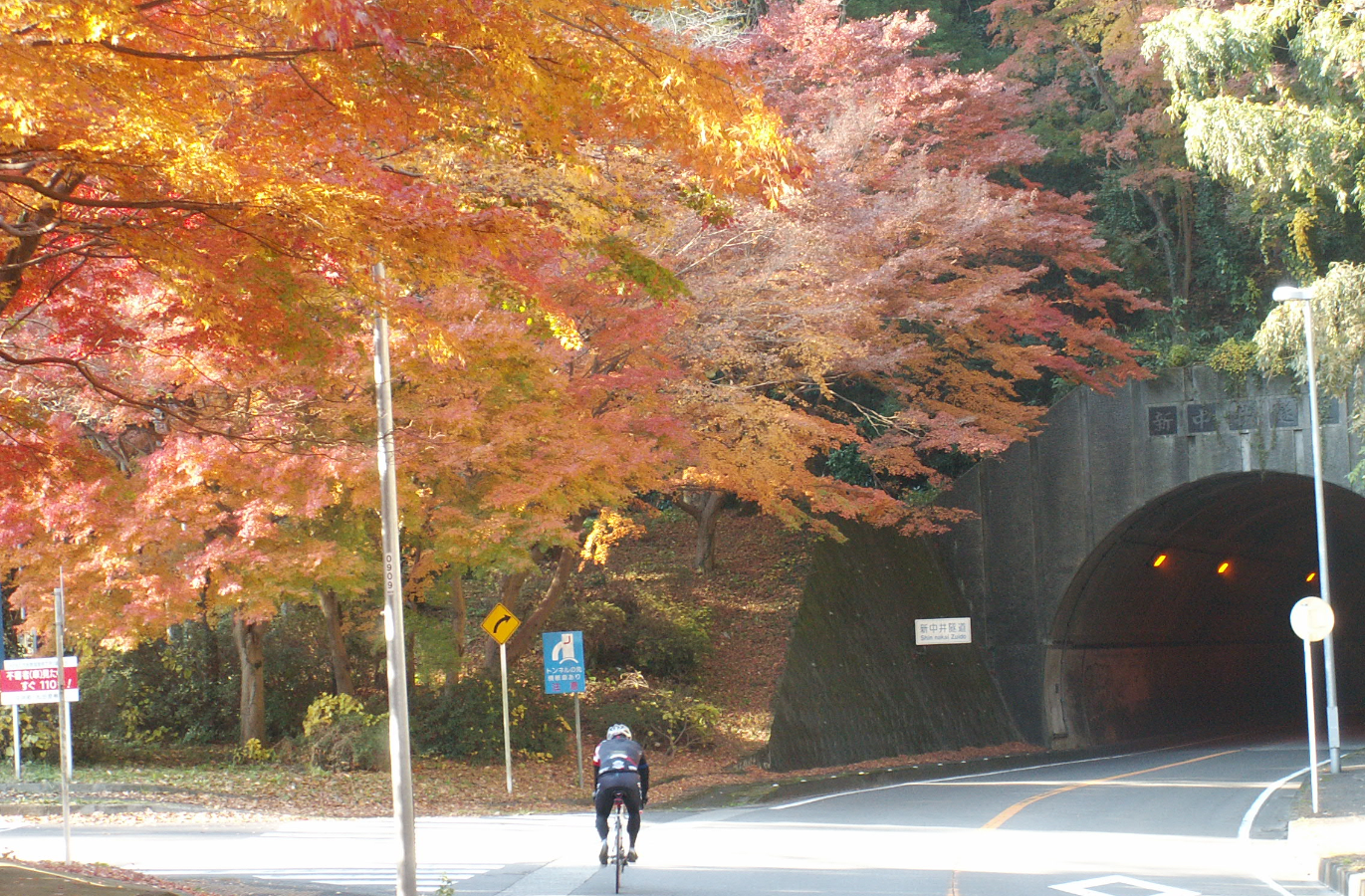 みごとな紅葉とツーリングをする人物の写真