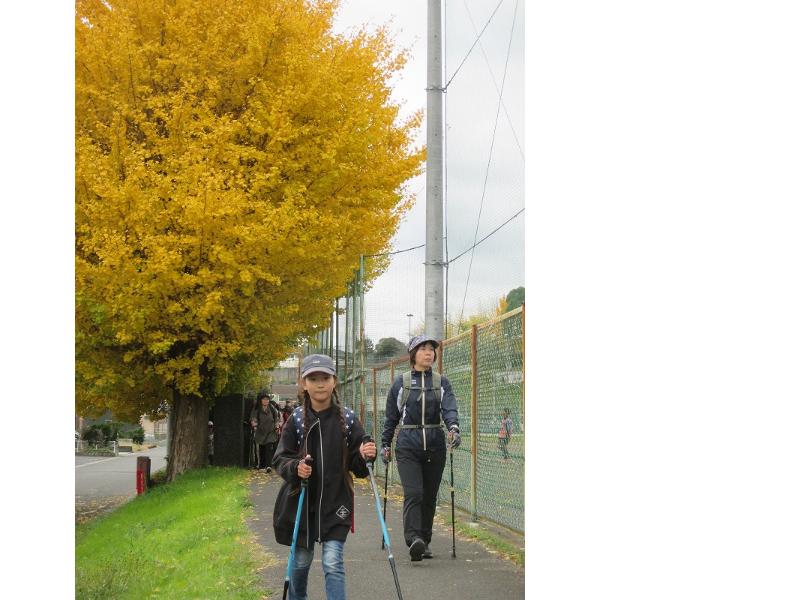 イチョウの木の下を2人がノルディックウォークで歩いている写真