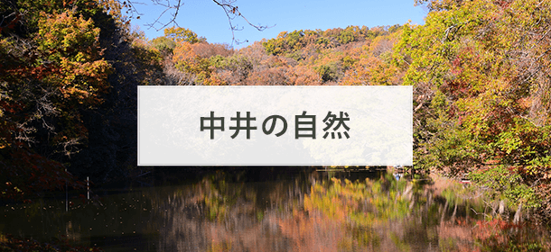 中井の自然