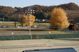 中井町総合グラウンドの写真（手前がテニスコート、奥が運動場）