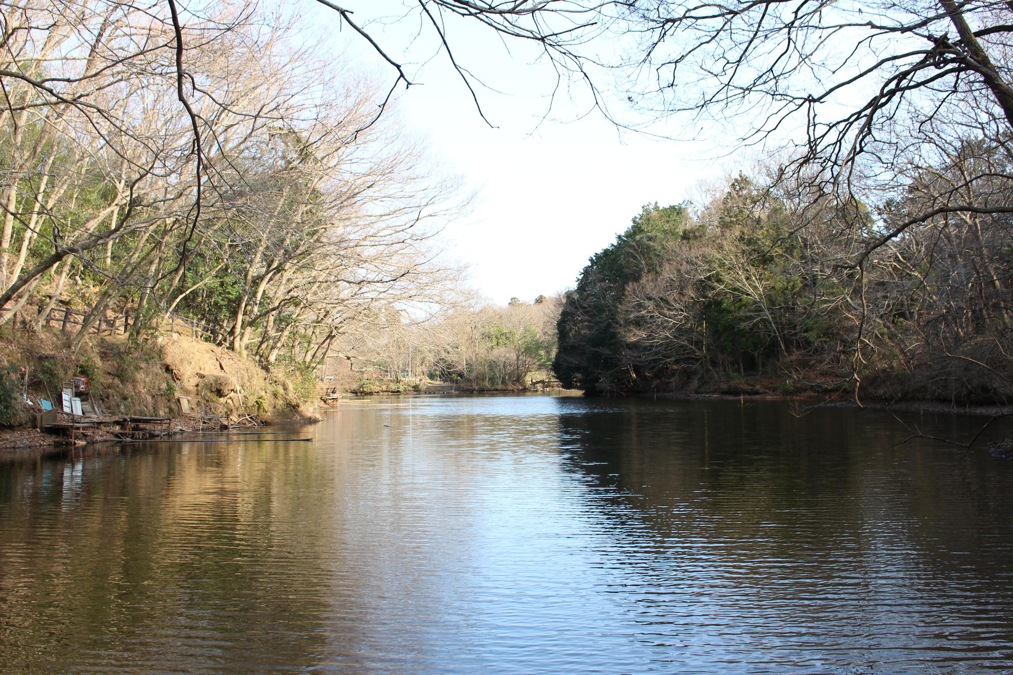 震生湖
