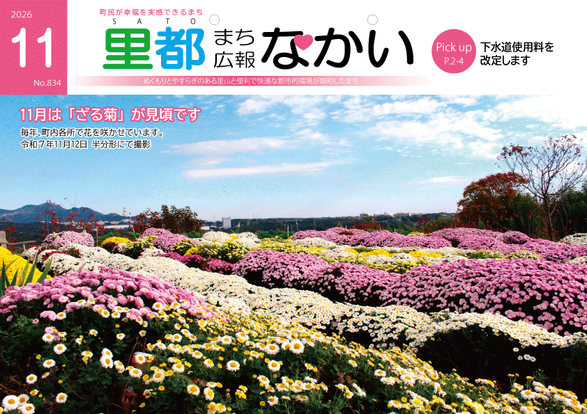 広報なかい11月号の表紙 半分形のざる菊