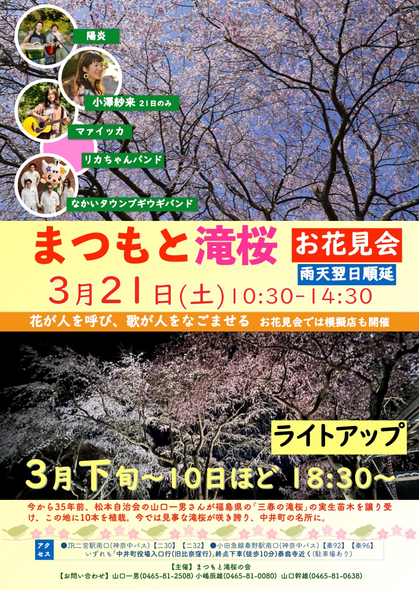 まつもと滝桜お花見会のチラシ