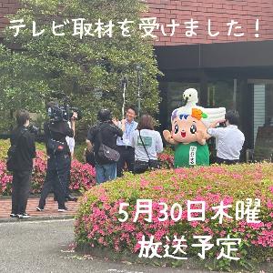 中井町役場の前でなかまるが取材を受けている写真