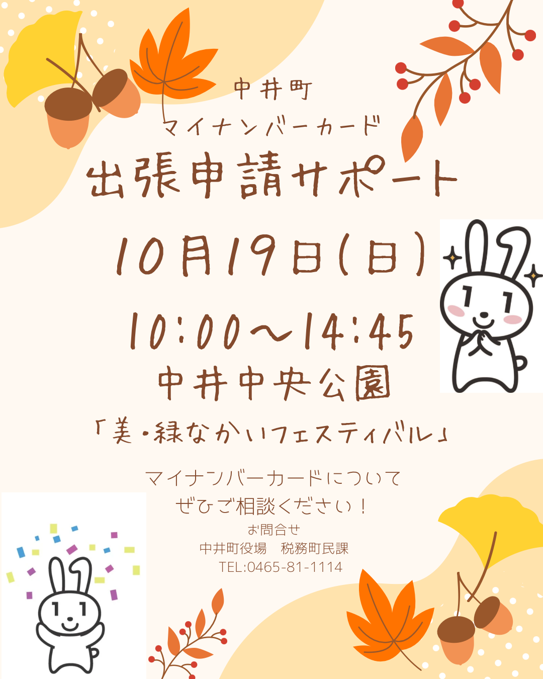 マイナンバーカードフェスティバルチラシ